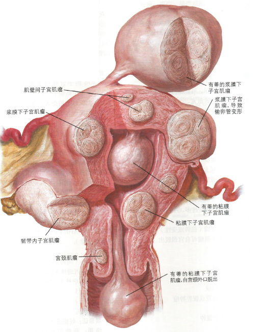 第363页