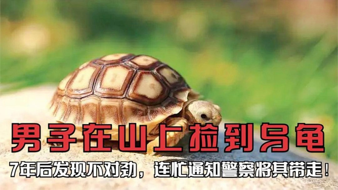 最新资讯 第42页