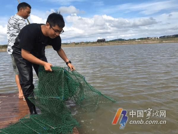 热点生活 第12页